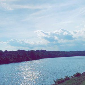 Meet your Posher, Peter